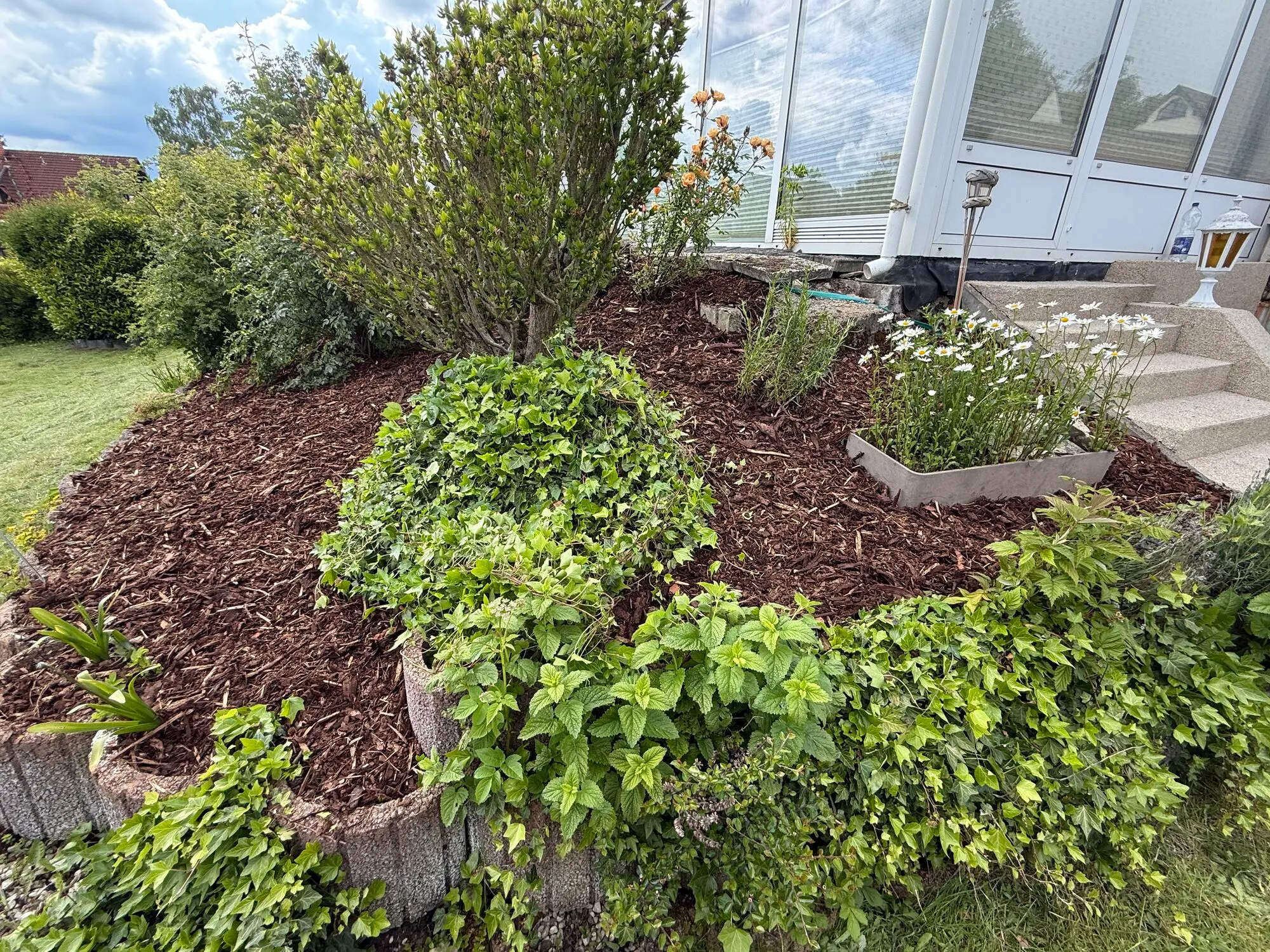 Gartenpflege (Projekt 2) – Nachher